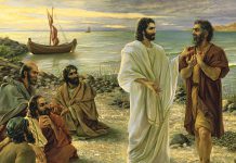 EȘEC sau REUȘITĂ ?