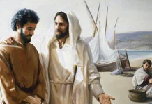 EXPERIENȚE MINUNATE !