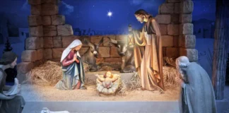 MOTIVELE ÎNTRUPĂRII